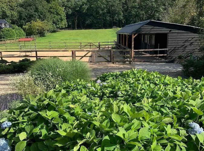 Bed&Breakfast De Paalberg