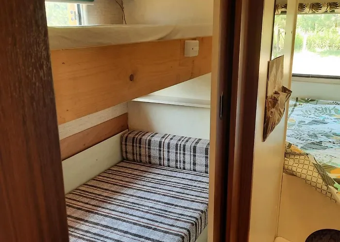 Mobil Home Sur Grand Terrain Cloture Et Arbore