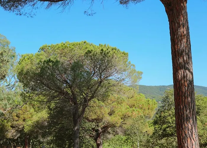 Camping Ladouceur