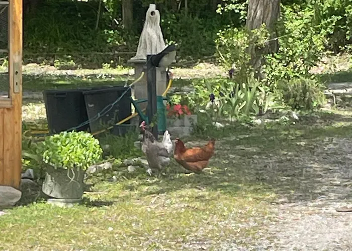 Le Bivouac-Tente Chez Camille