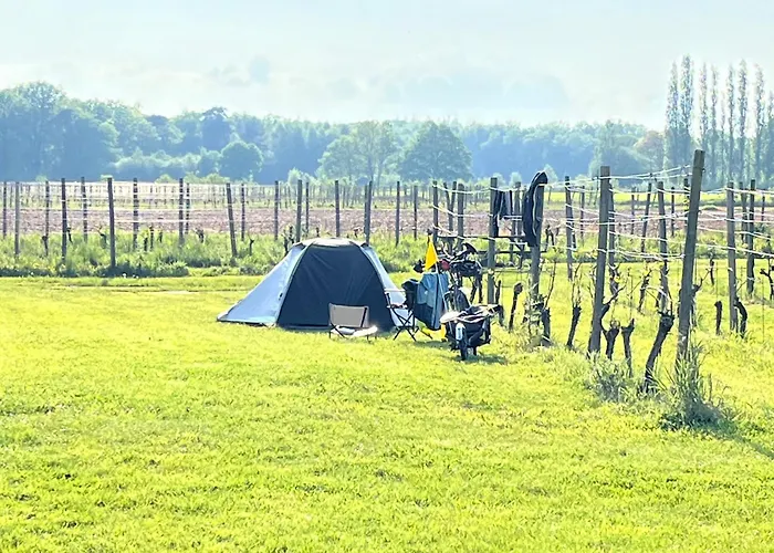 Erve Zonnehoeve B&B en Wijngaard