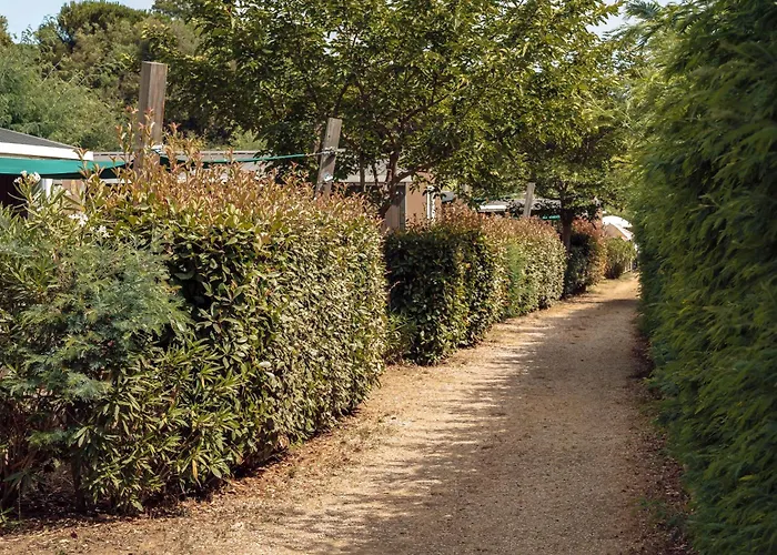 Domaine de Verdagne
