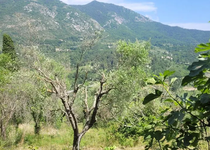 Magnifique Roulotte