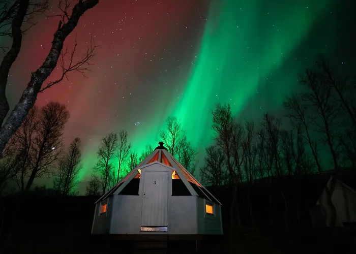 Countryside Tromso- Cozy Glass- Roof Cabins- Aurora Wonderland