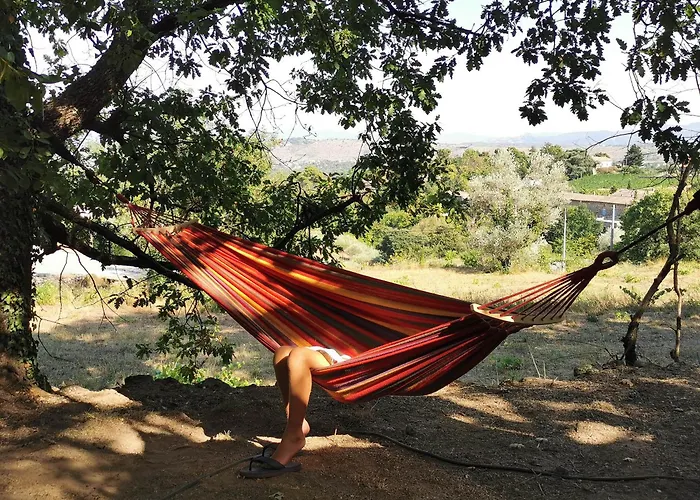 Camping Du Vignal