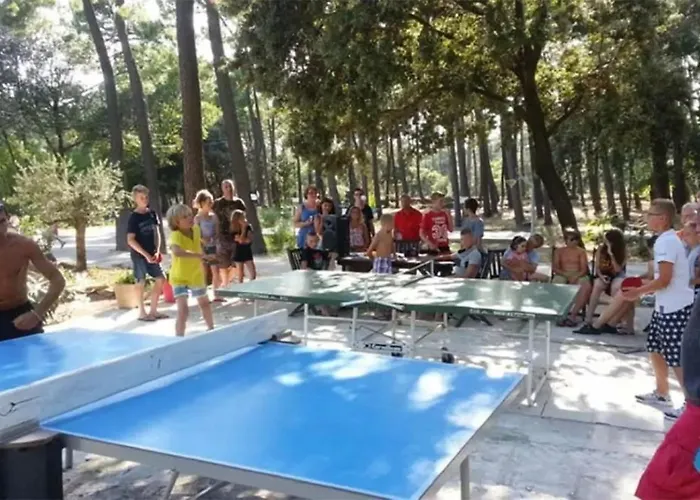 Zecamping 3 Etoiles Piscine Chauffee Toboggans Mobil-Home Tv 27M2