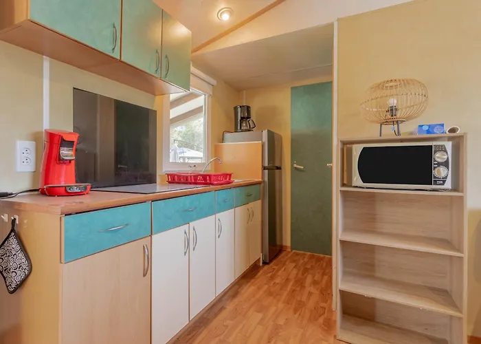 Mobilhome Oasis Village Puget