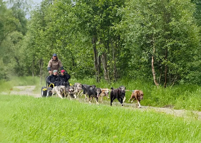 Holmen Husky Lodge